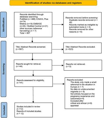 The effect of limited access to antenatal care on pregnancy experiences and outcomes among undocumented migrant women in Europe: a systematic review